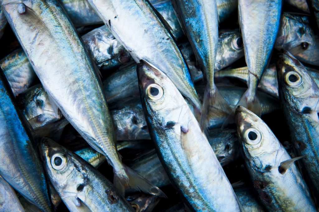 pescados